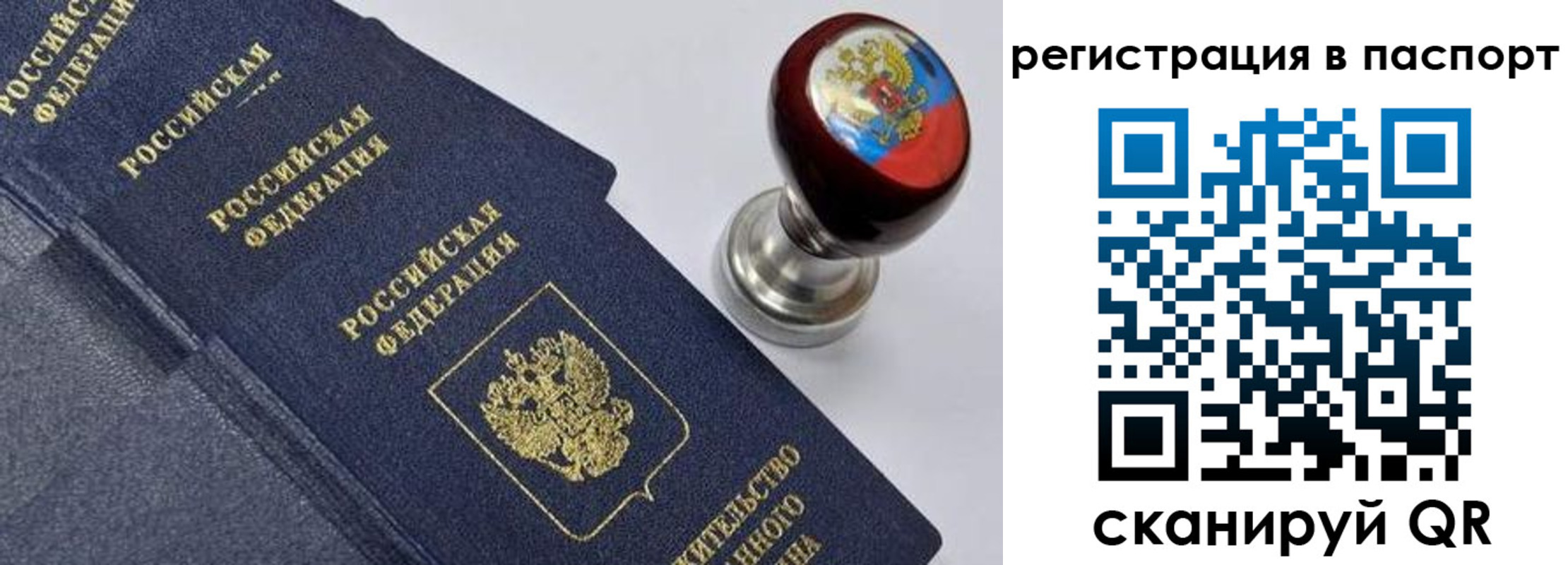 прописка поиск в Королёве