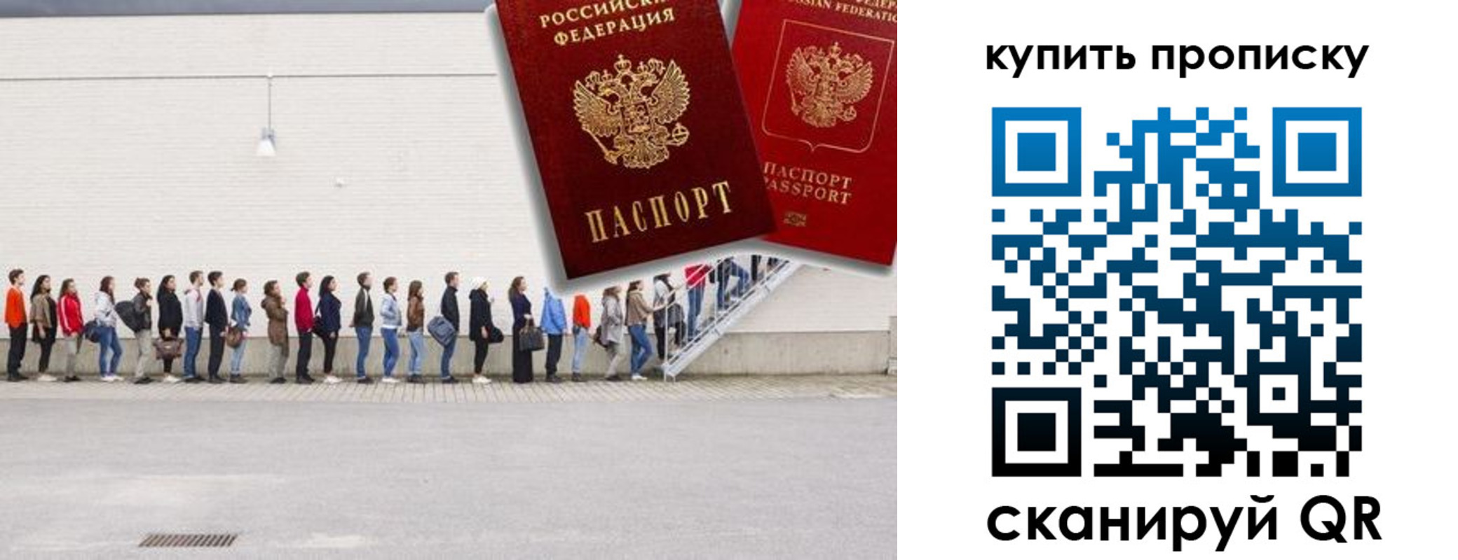 прописка штамп в Королёве